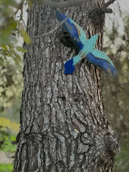A Roller Bird