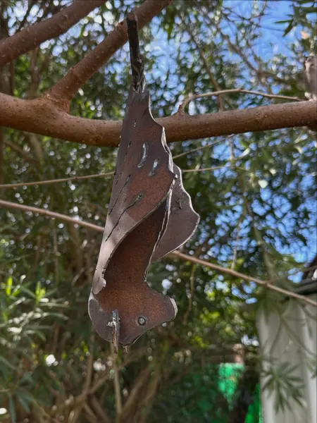 A Bat
