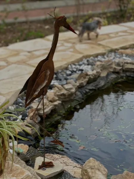 חסידה וחסידיה