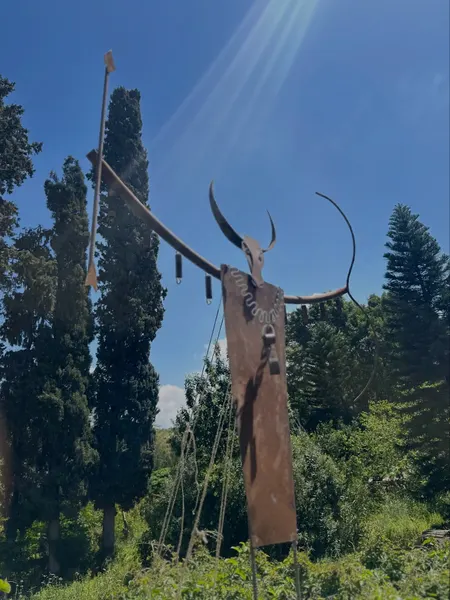Shaman