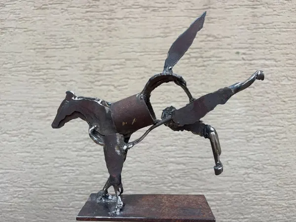 A Horsy Horse