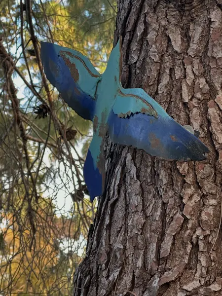 A Roller Bird