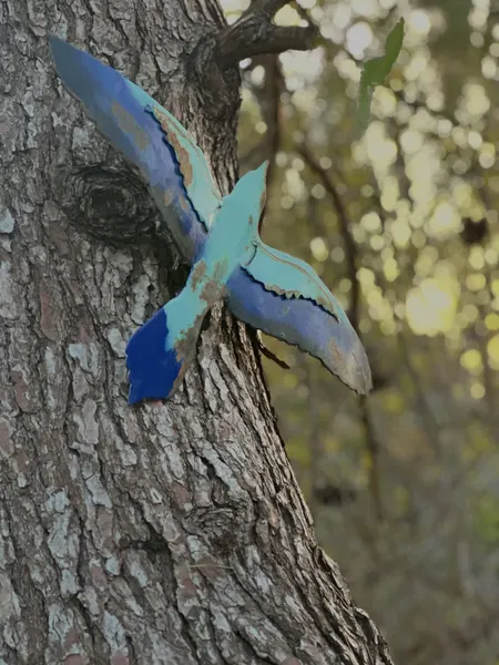 A Roller Bird