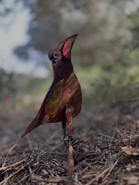 A wild bird