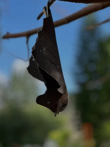 A Bat